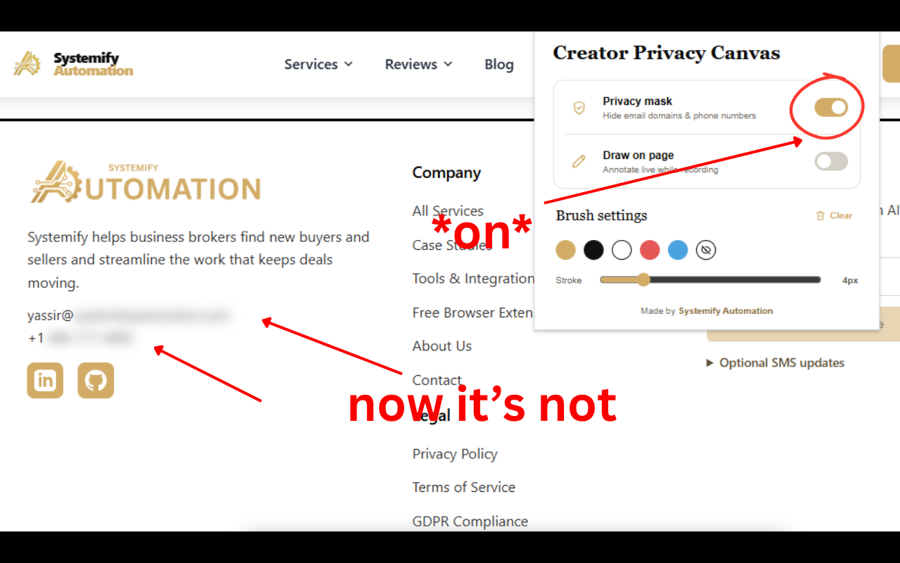 Creator Privacy Canvas popup with Privacy mask turned on